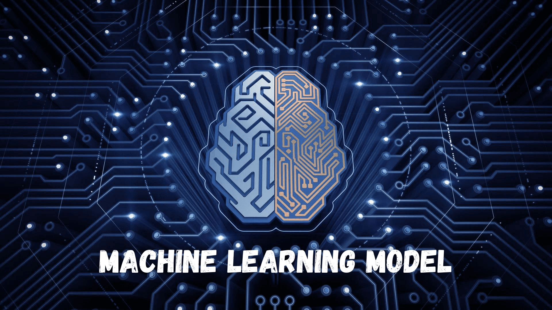 Machine Learning Model